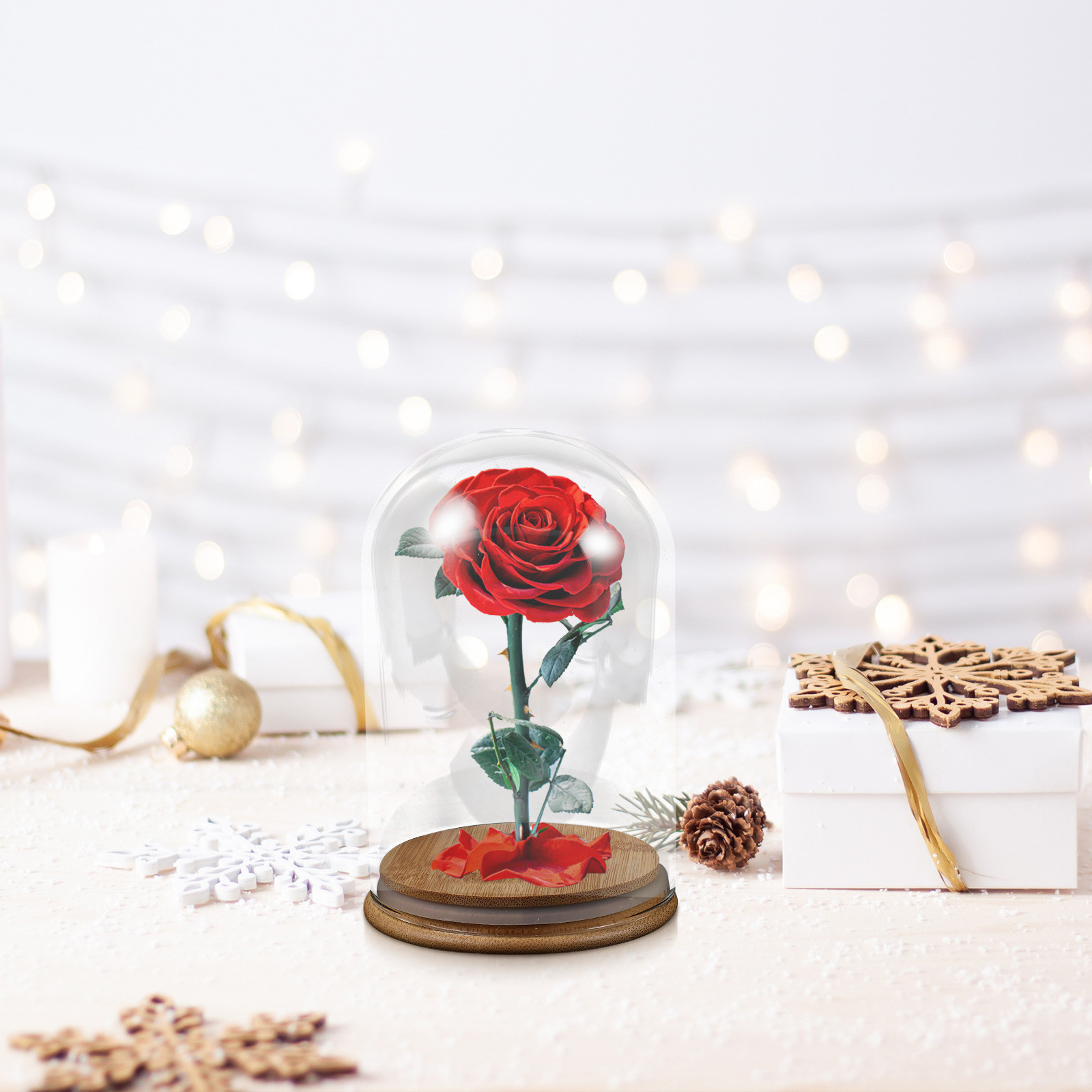 Glass Cloche Display Dome Bell - Plastic Dome Clear review and price