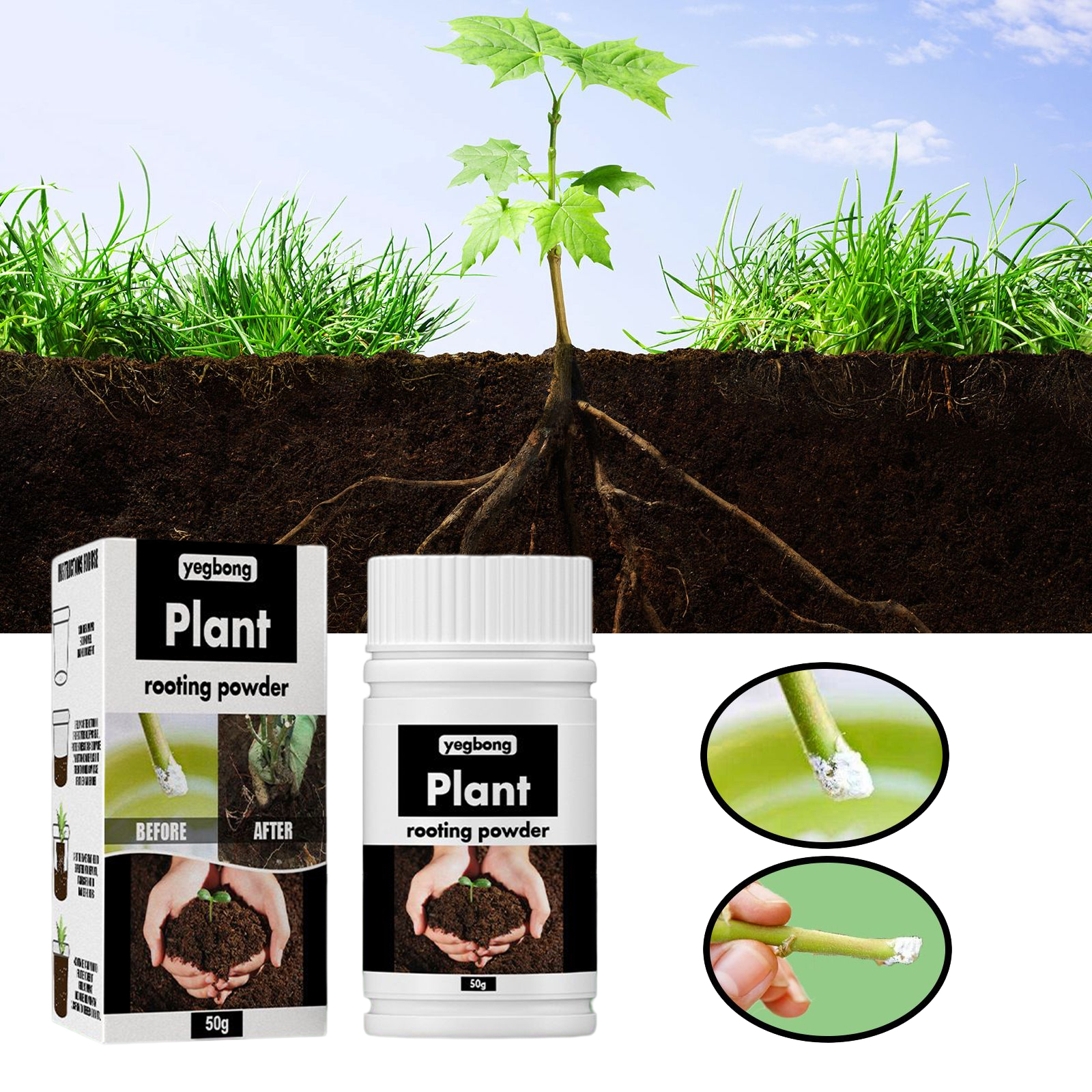 1Rare Plant Rooting Powder Pla - Rooting Hormone Powder review and price