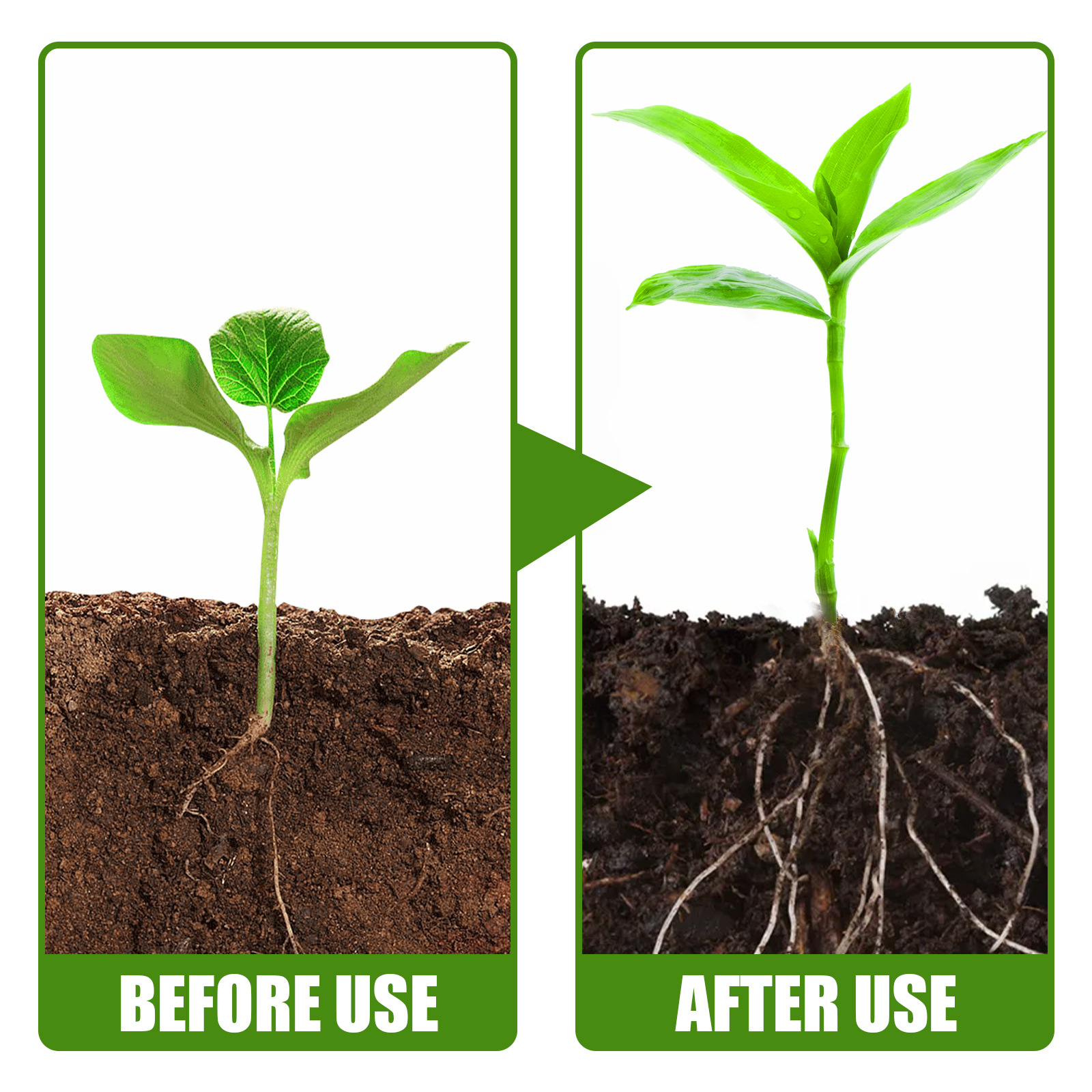 1Rare Plant Rooting Powder Pla - Rooting Hormone Powder review and price