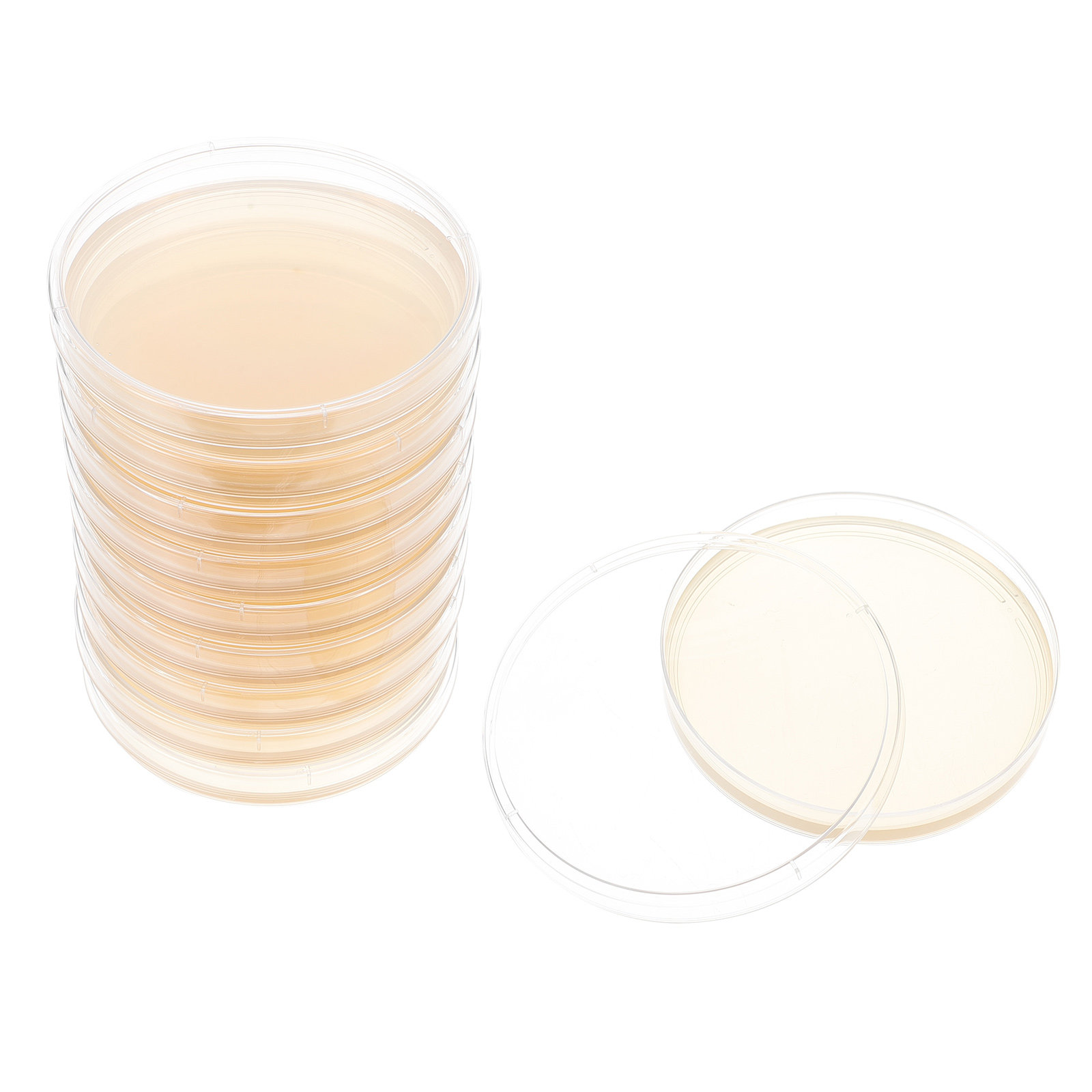 10pcs Nutrient Agar Plates Pre - Agar Tissue Culture review and price