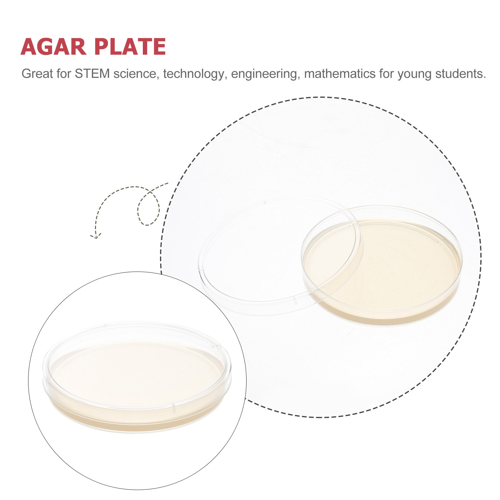 10pcs Nutrient Agar Plates Pre - Agar Tissue Culture review and price