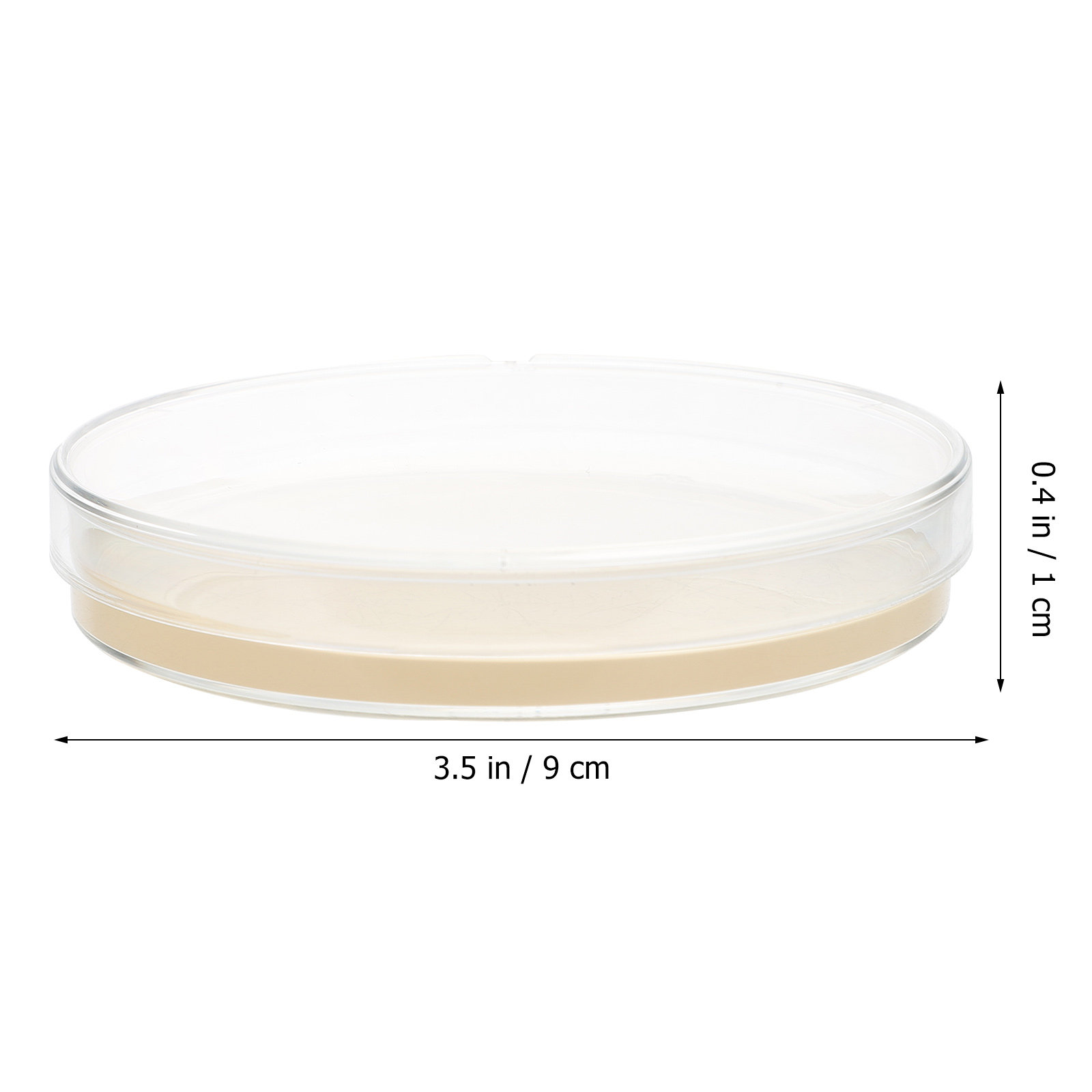 10pcs Nutrient Agar Plates Pre - Agar Tissue Culture review and price