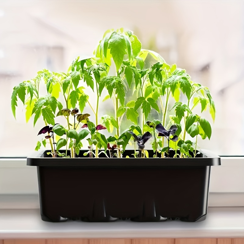 Seedling Starter Kit 1/2/3 Set - Humidity Dome Kit review and price