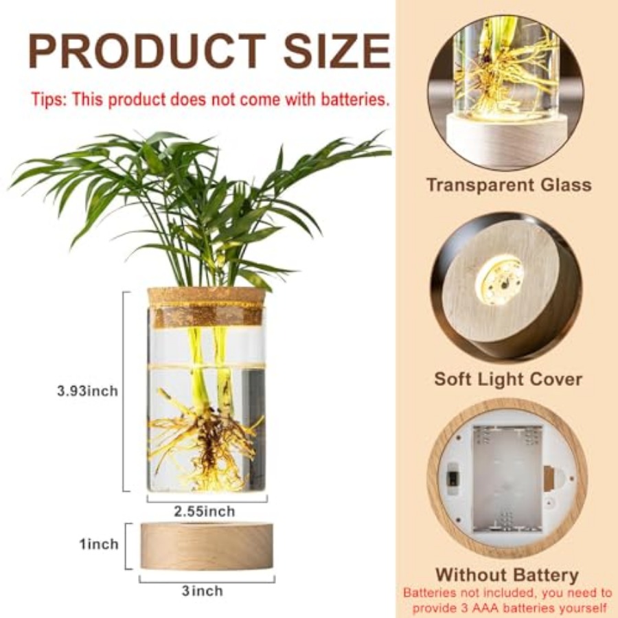 Glass Plant Propagation Statio - Propagation Station Vase review and price