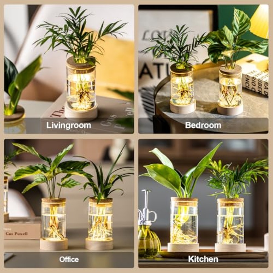 Glass Plant Propagation Statio - Propagation Station Vase review and price