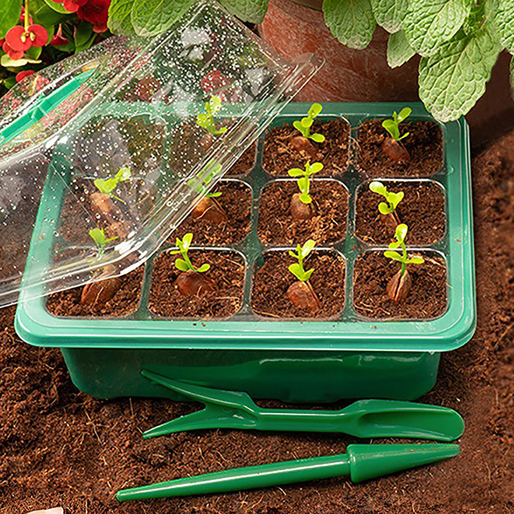 Seed Starter Trays with Grow L - Humidity Dome Kit review and price