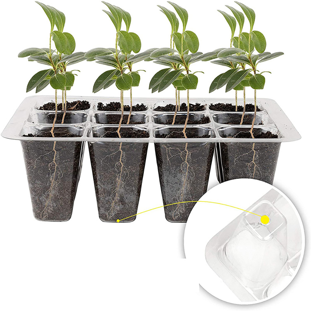 Seed Starter Trays with Grow L - Humidity Dome Kit review and price