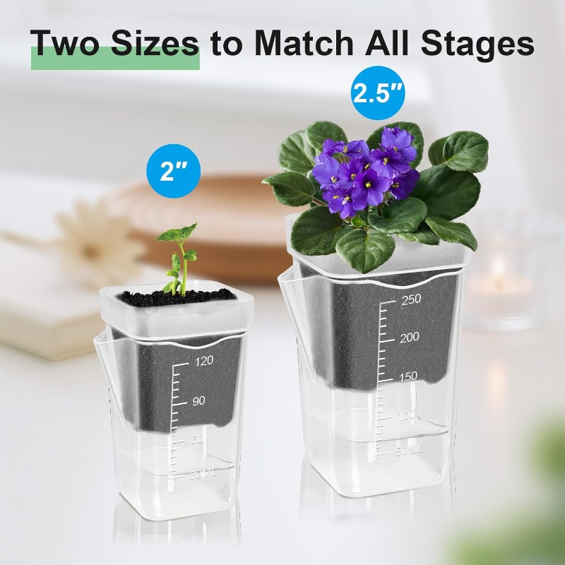 Transparent Flower Plant Pot S - Self Watering Insert review and price