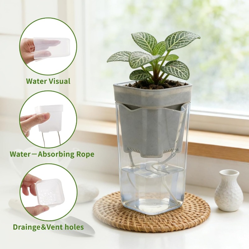 Transparent Flower Plant Pot S - Self Watering Insert review and price