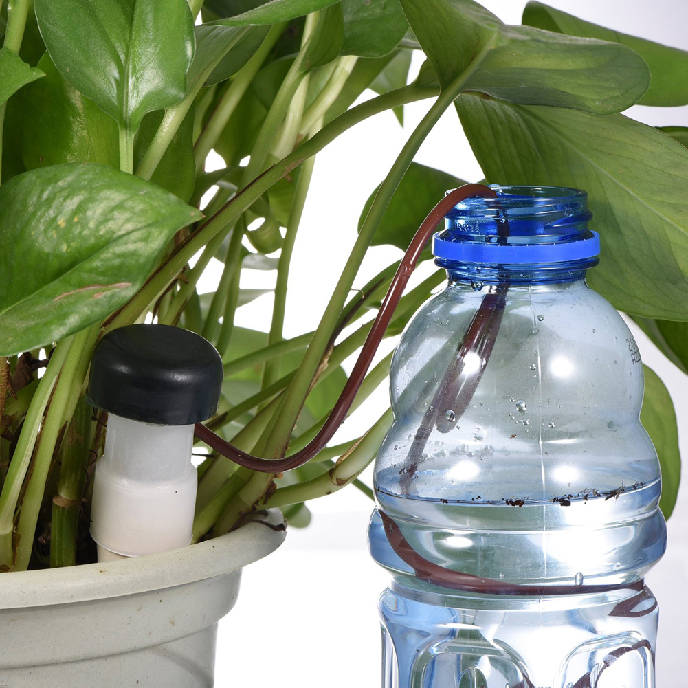 8-24Pcs Self-Watering Probes A - Self Watering Insert review and price