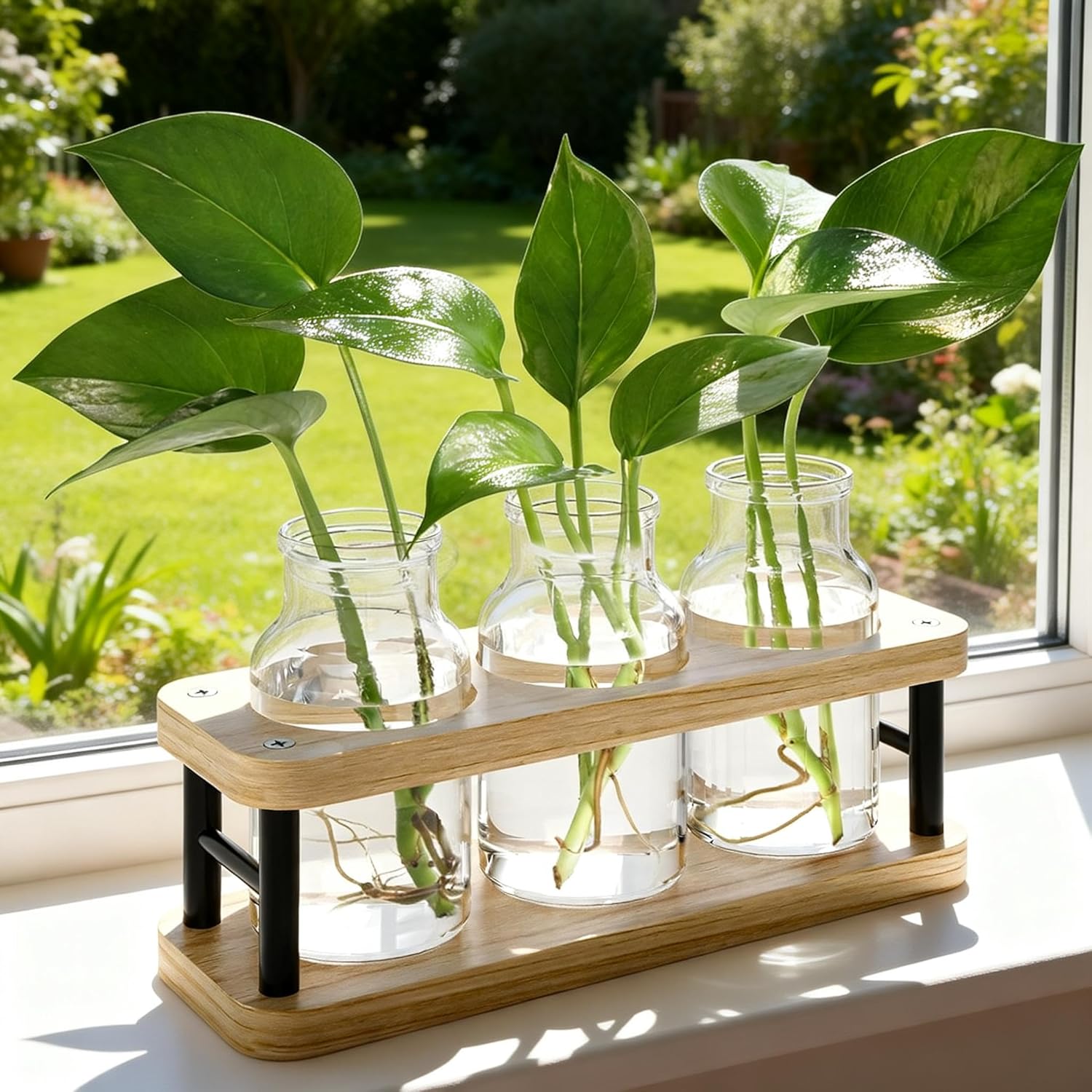 Propagation Station with Woode - Propagation Station Vase review and price