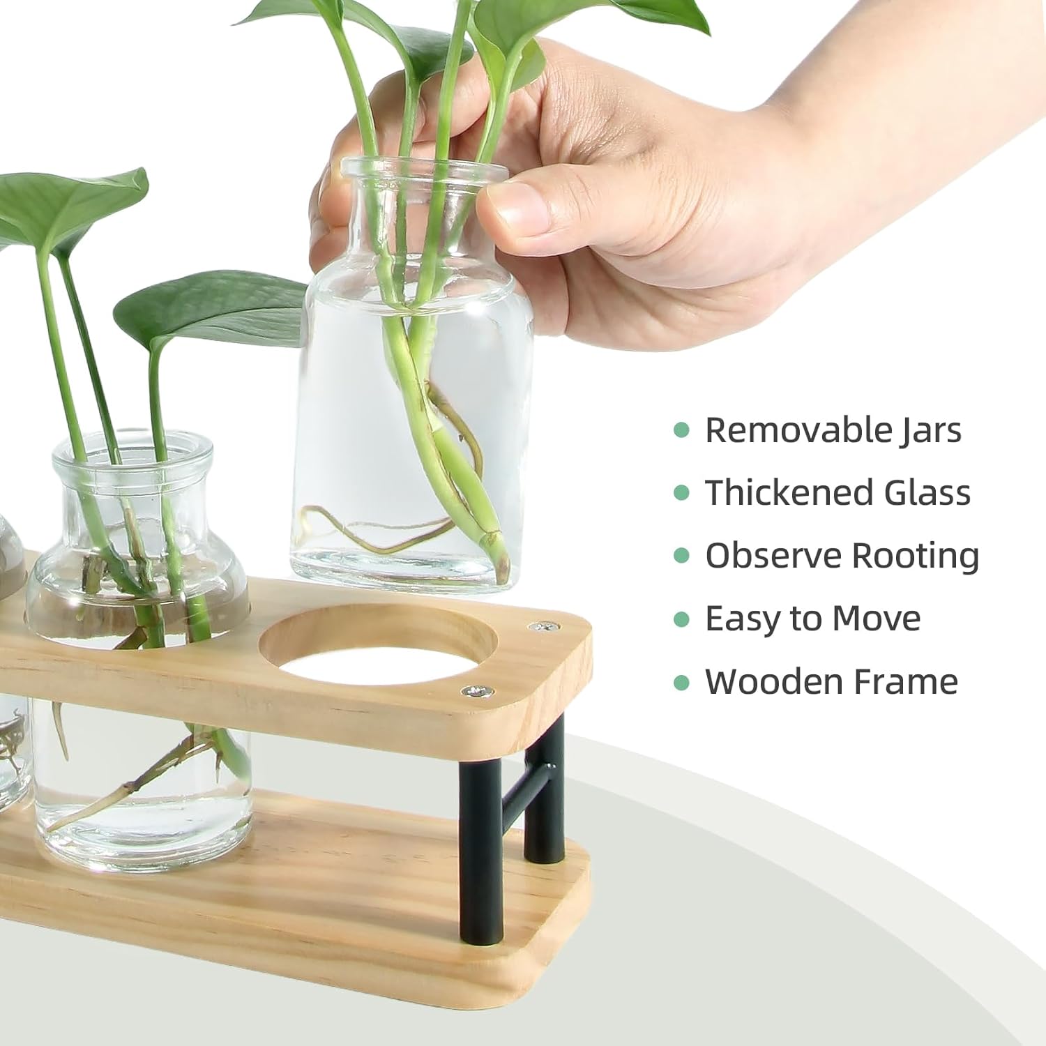 Propagation Station with Woode - Propagation Station Vase review and price