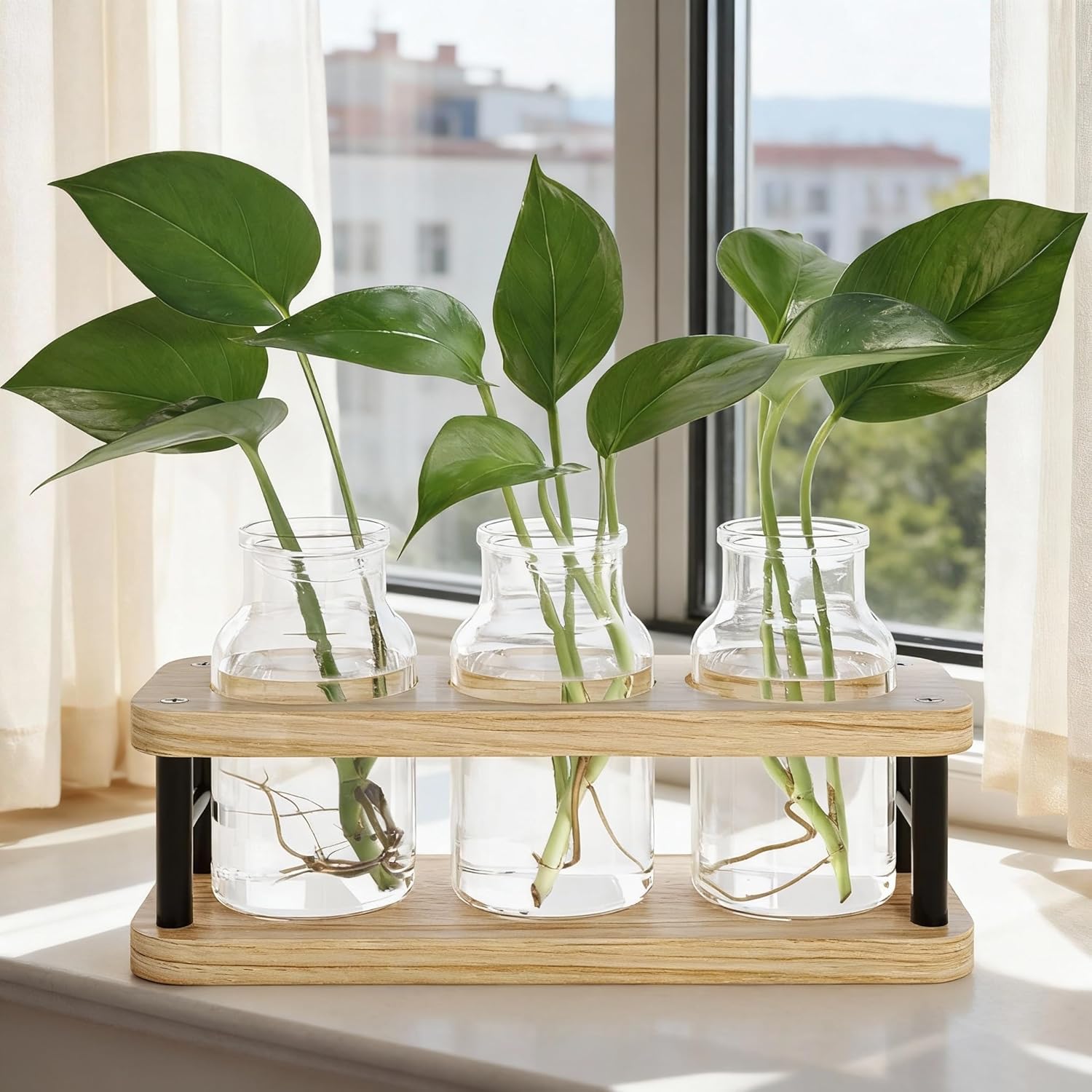 Propagation Station with Woode - Propagation Station Vase review and price