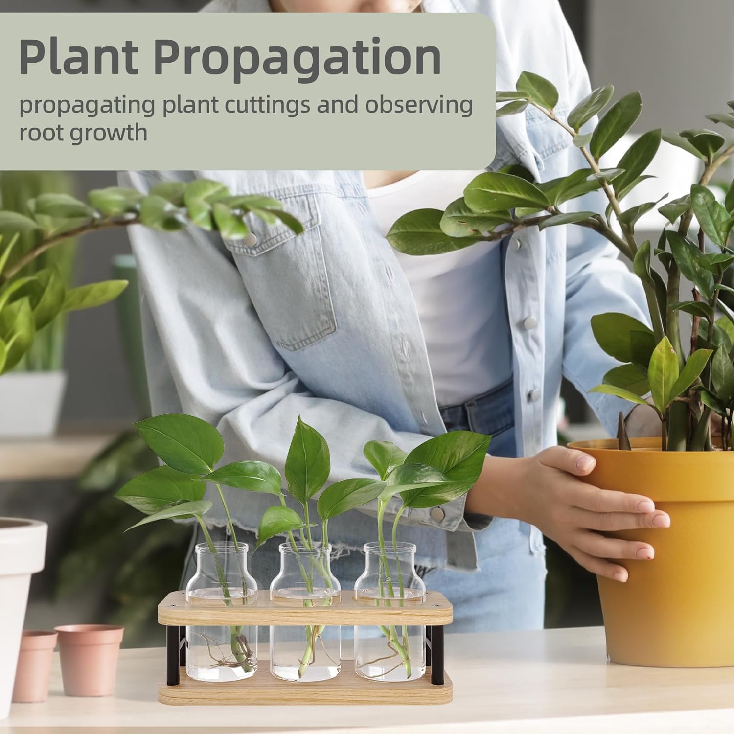 Propagation Station with Woode - Propagation Station Vase review and price