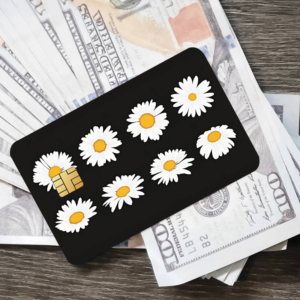 Fashion Art P-Peaceminusone Co - Peat Pellet Tray review and price