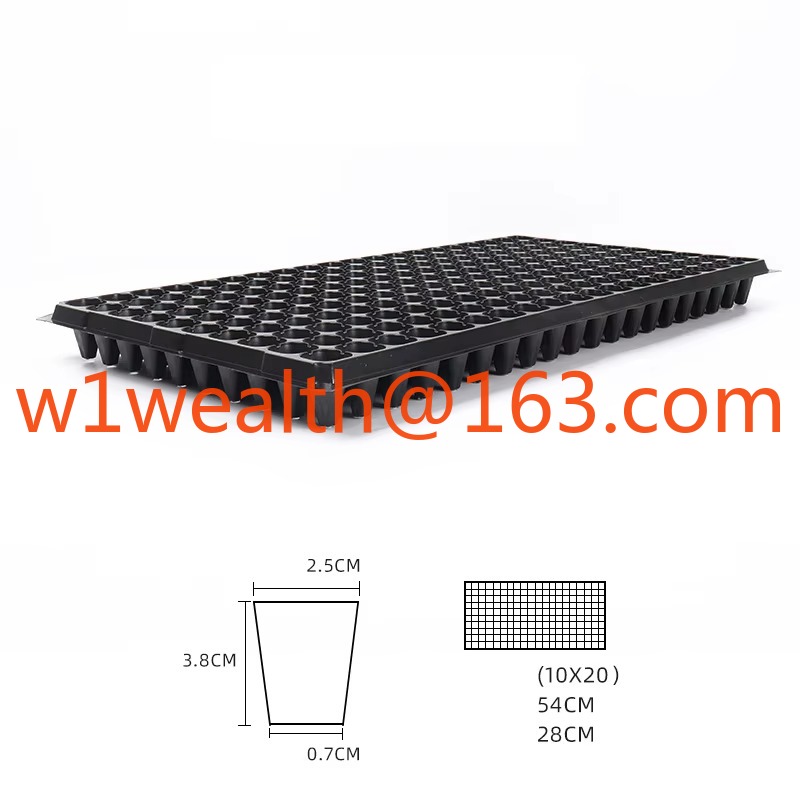 DD3198   72 Cell 100G Garden G - Propagation Tray 72 review and price