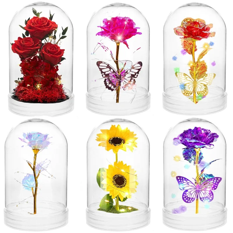 Clear Plastic Dome Display Cas - Plastic Dome Clear review and price