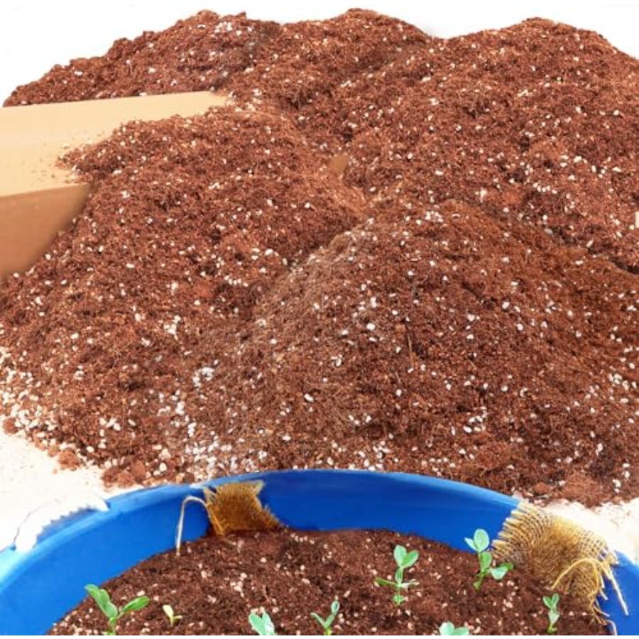 2 Mix for Indoor Plants - Cont - Coco Perlite Mix review and price