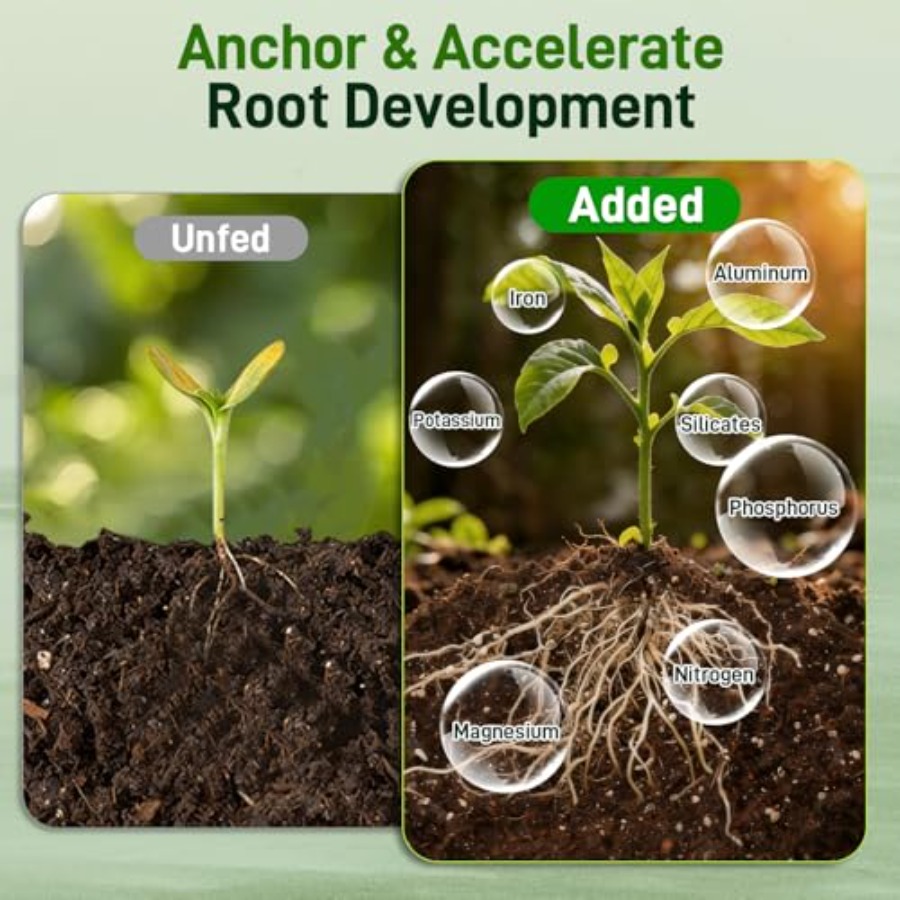 2 Mix for Indoor Plants - Cont - Coco Perlite Mix review and price