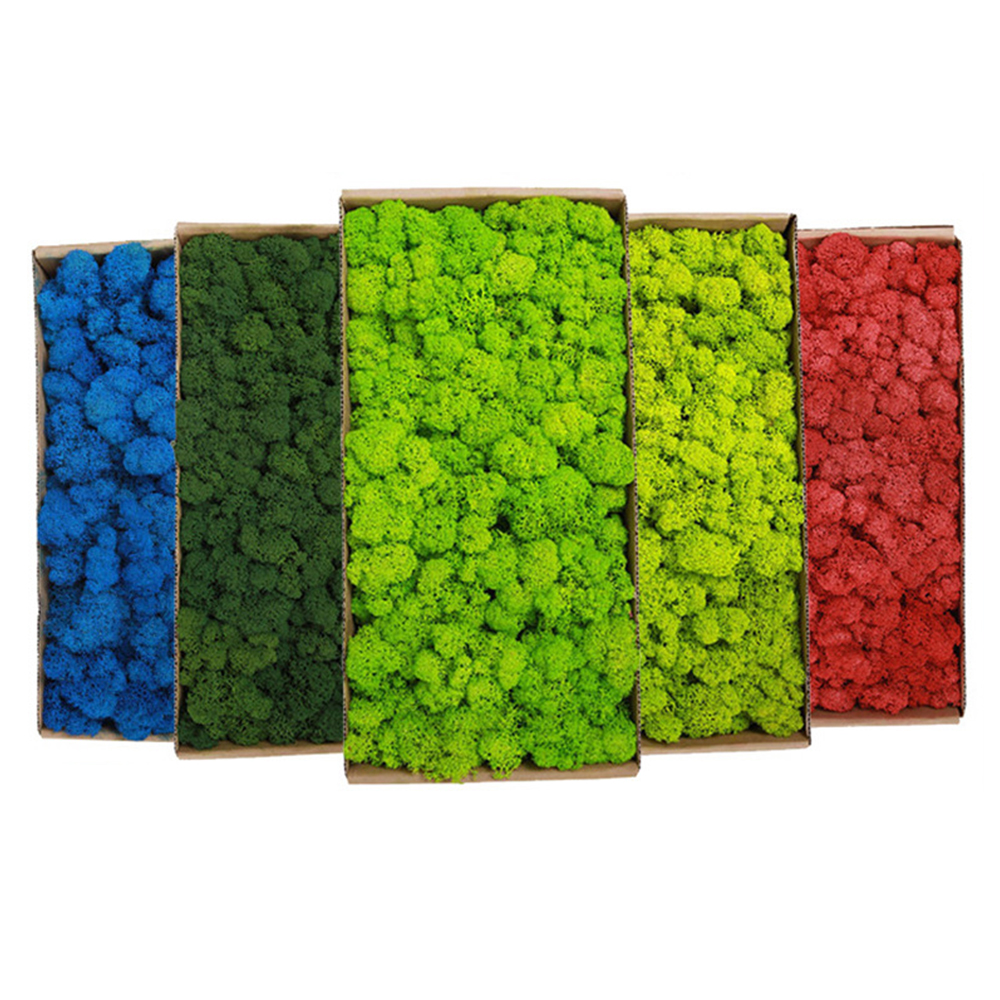 200g Artificial Green Plants M - Sphagnum Moss Dry review and price