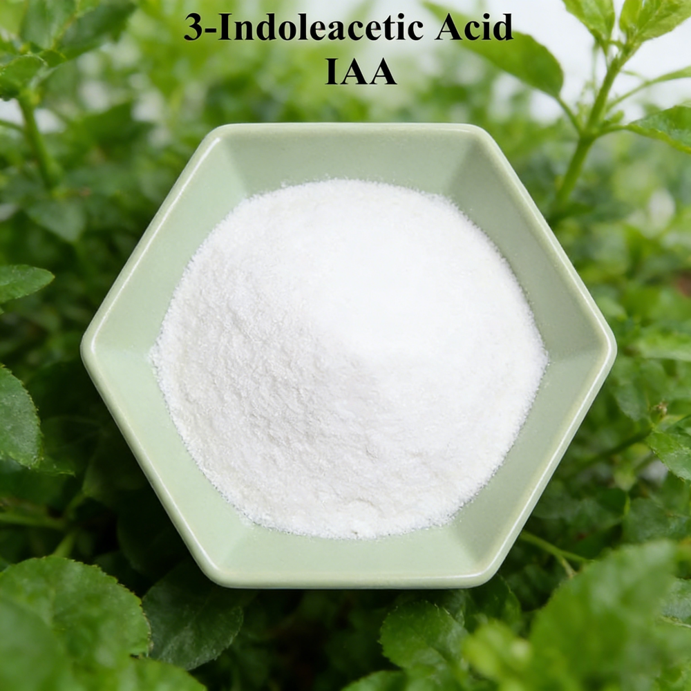 3-indoleacetic Acid IAA Auxina - Rooting Hormone Powder review and price