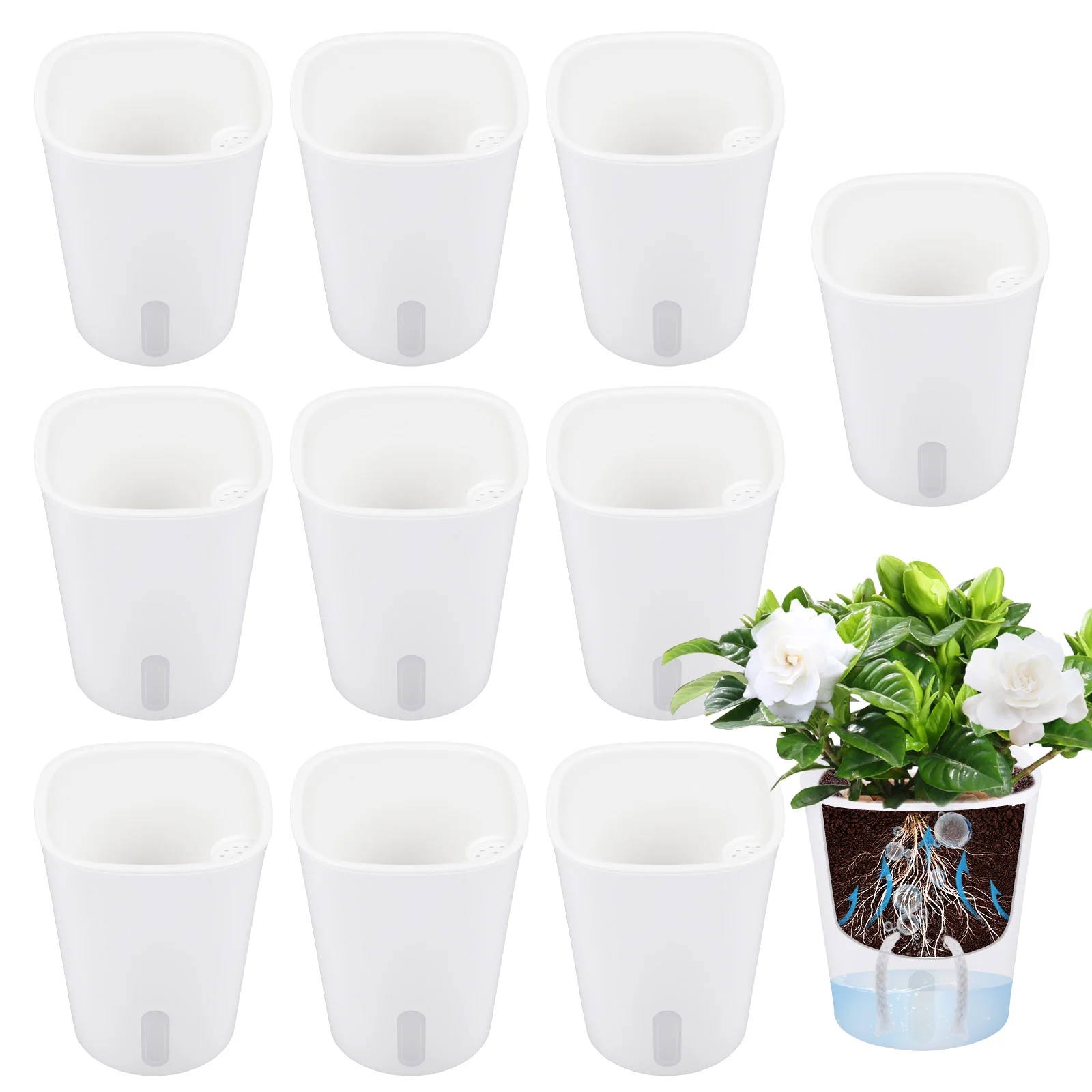 10 Pcs Self Watering Planter L - Self Watering Insert review and price