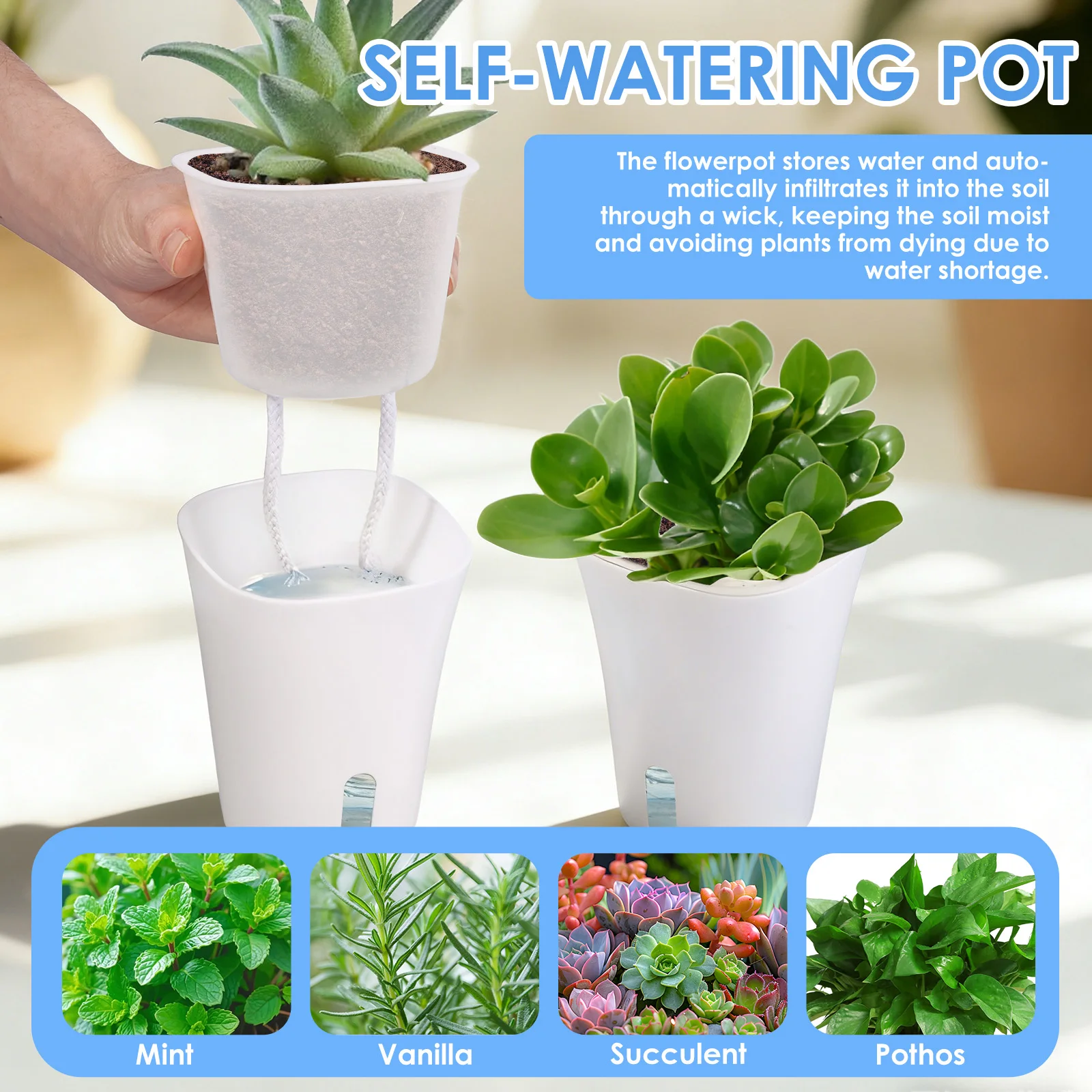 10 Pcs Self Watering Planter L - Self Watering Insert review and price