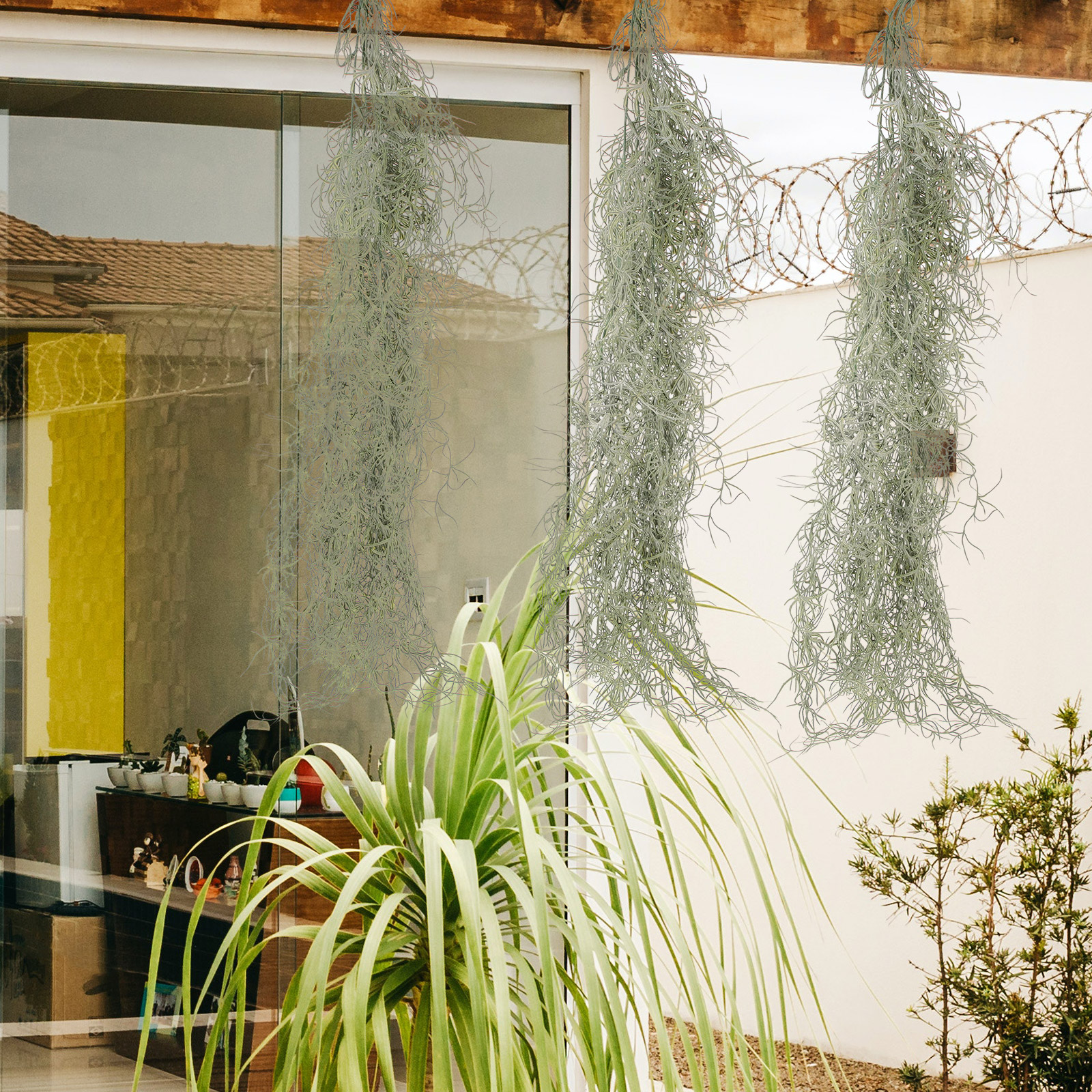 Hanging Moss Decor Artificial  - Sphagnum Moss Dry review and price