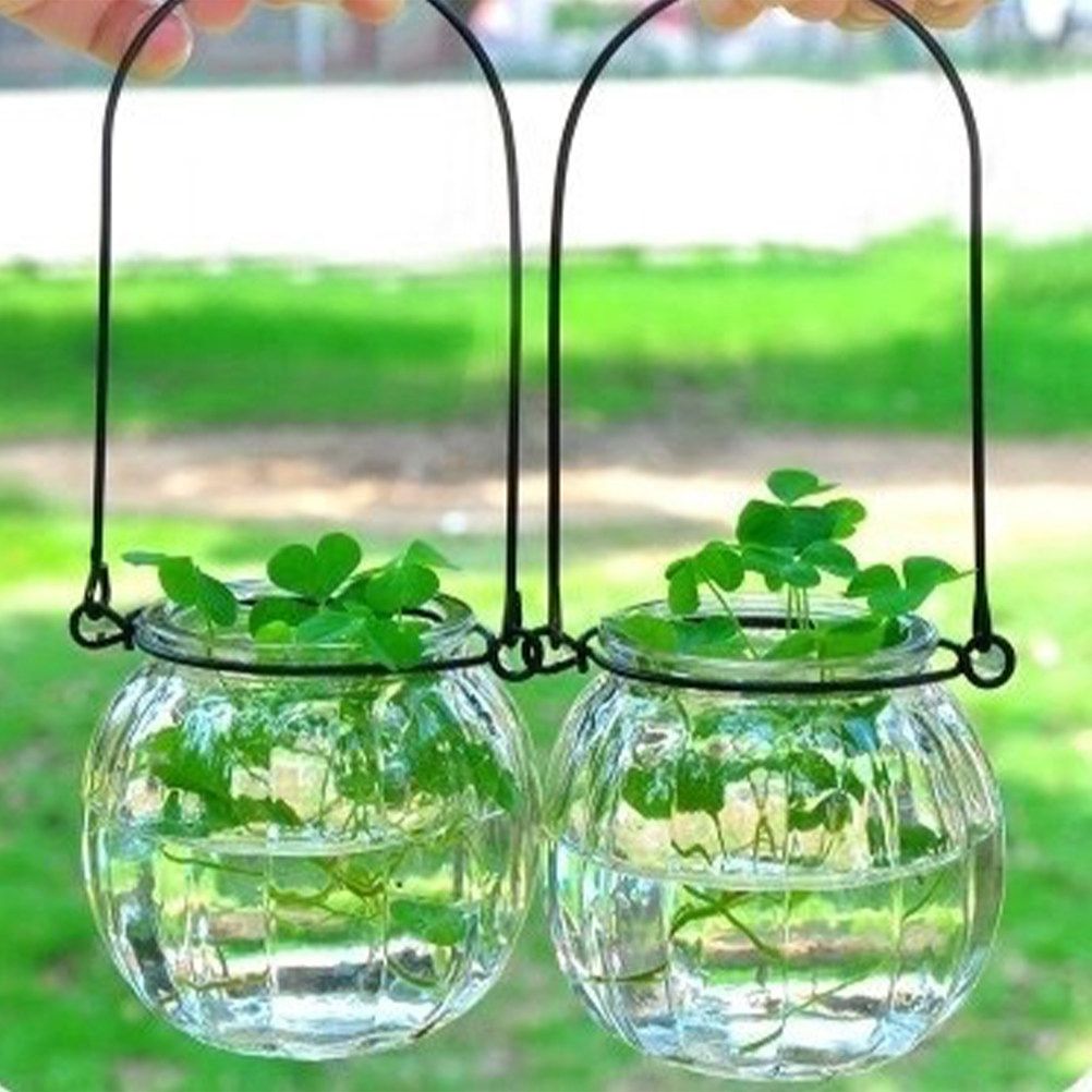 6Pcs Transparent Hanging Glass - Propagation Station Vase review and price