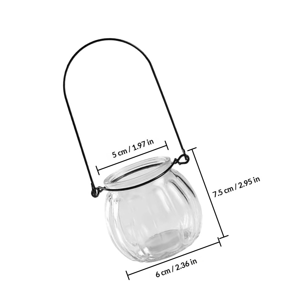 6Pcs Transparent Hanging Glass - Propagation Station Vase review and price