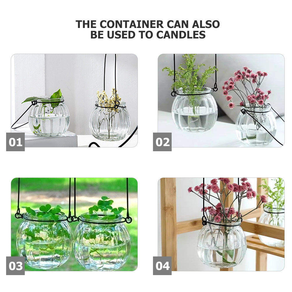 6Pcs Transparent Hanging Glass - Propagation Station Vase review and price