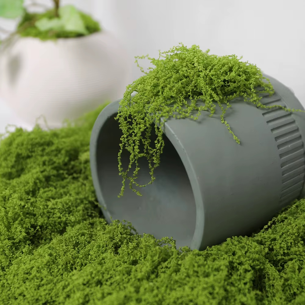 30/100g Artificial Green Plant - Sphagnum Moss Dry review and price