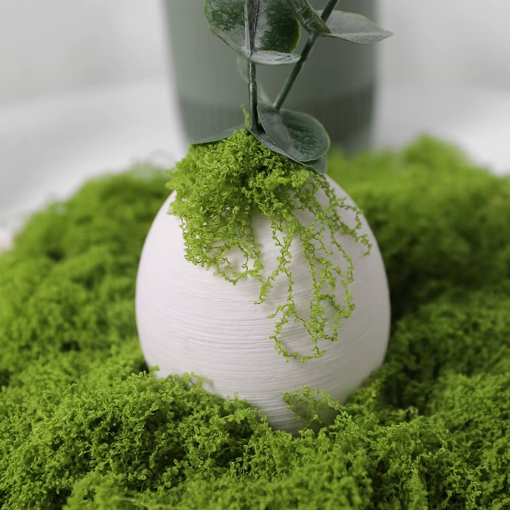 30/100g Artificial Green Plant - Sphagnum Moss Dry review and price