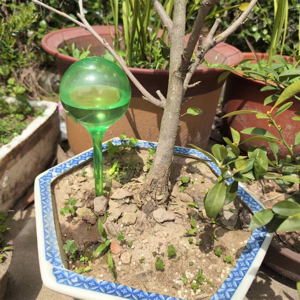 Automatic Plant Watering Bulbs - Self Watering Insert review and price