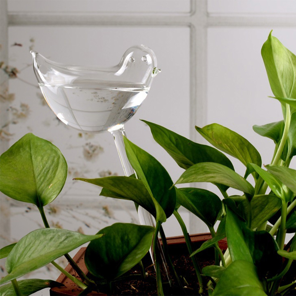 Automatic Plant Watering Bulbs - Self Watering Insert review and price