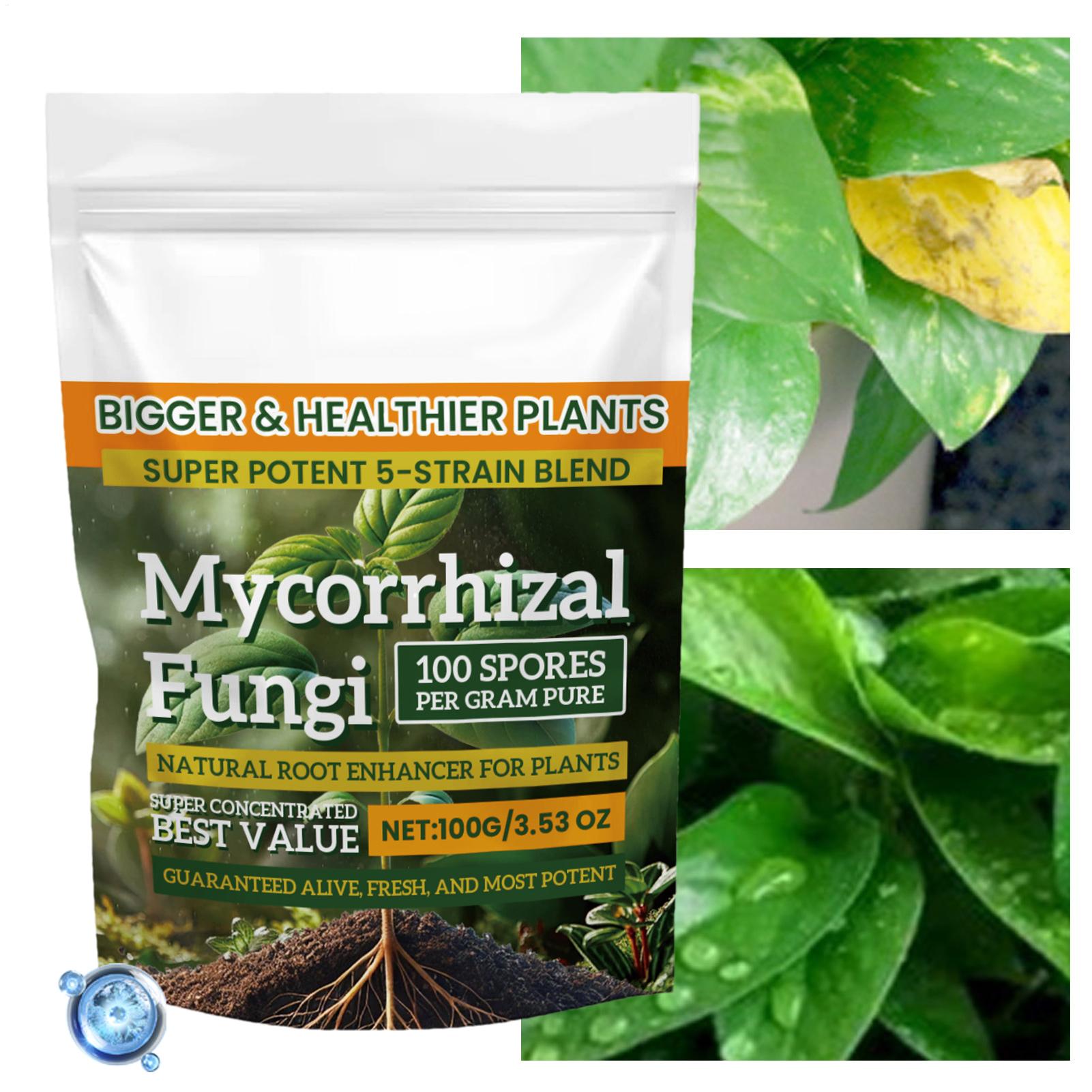 Plant Growth Enhancer Powder 1 - Rooting Hormone Powder review and price