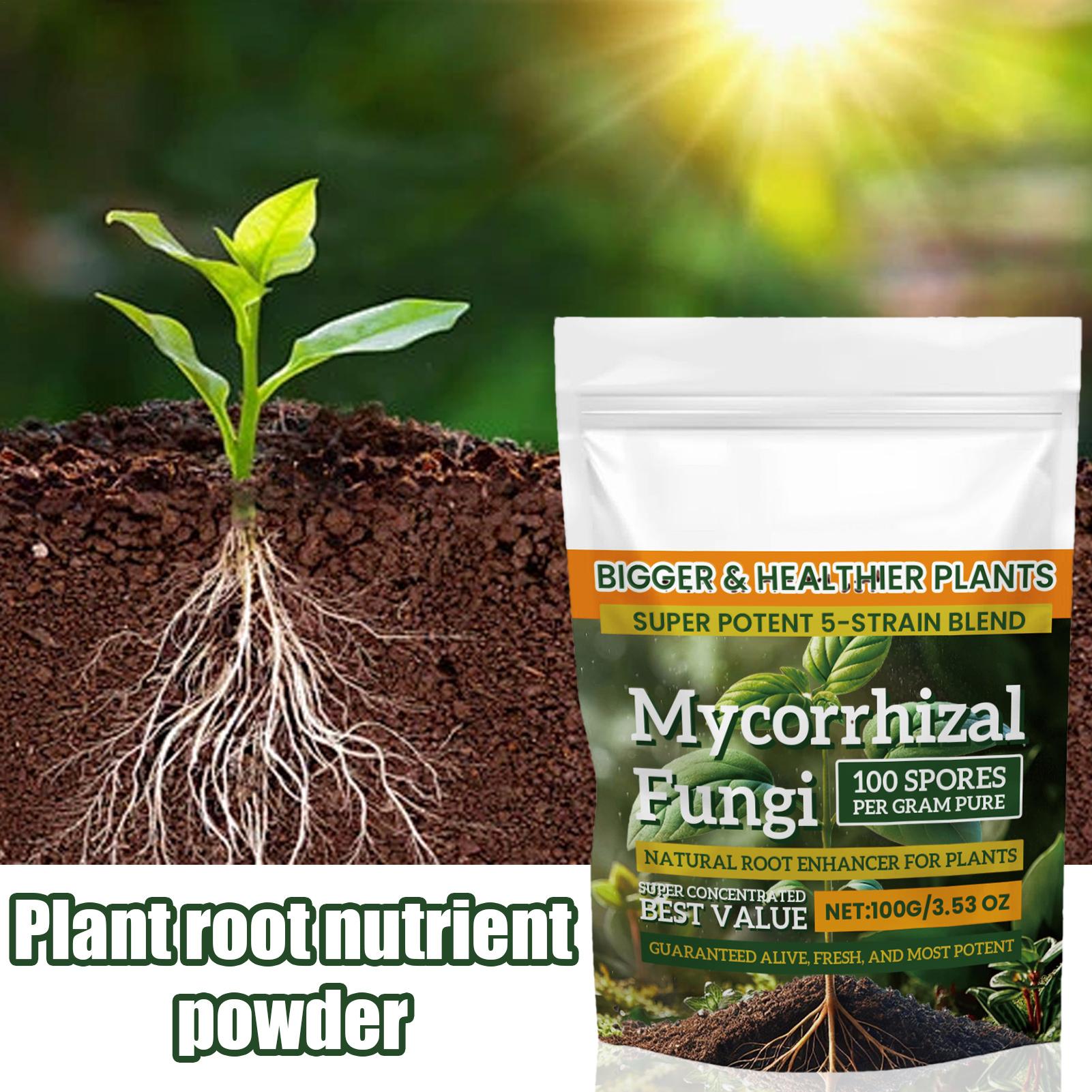 Plant Growth Enhancer Powder 1 - Rooting Hormone Powder review and price