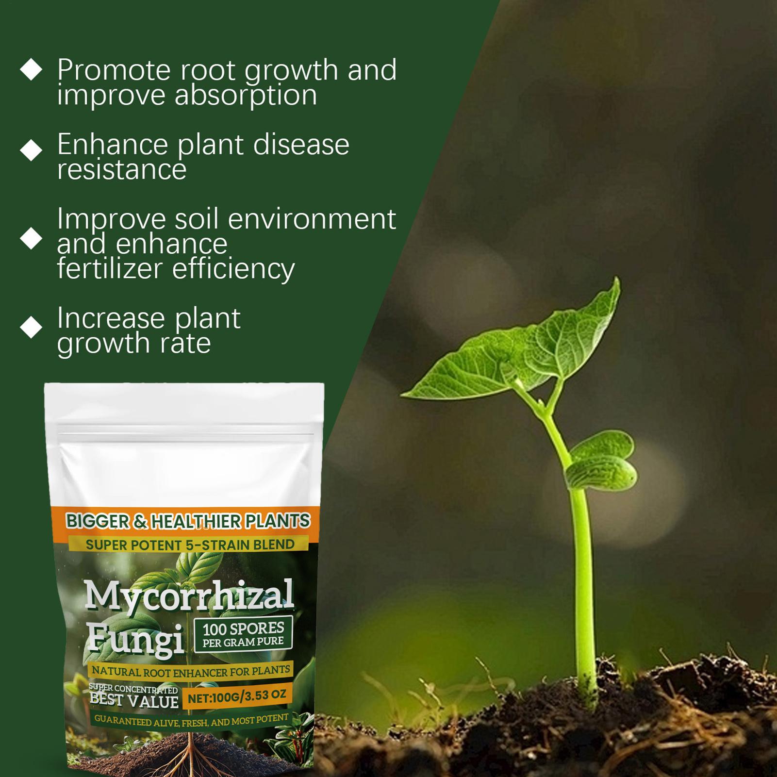 Plant Growth Enhancer Powder 1 - Rooting Hormone Powder review and price