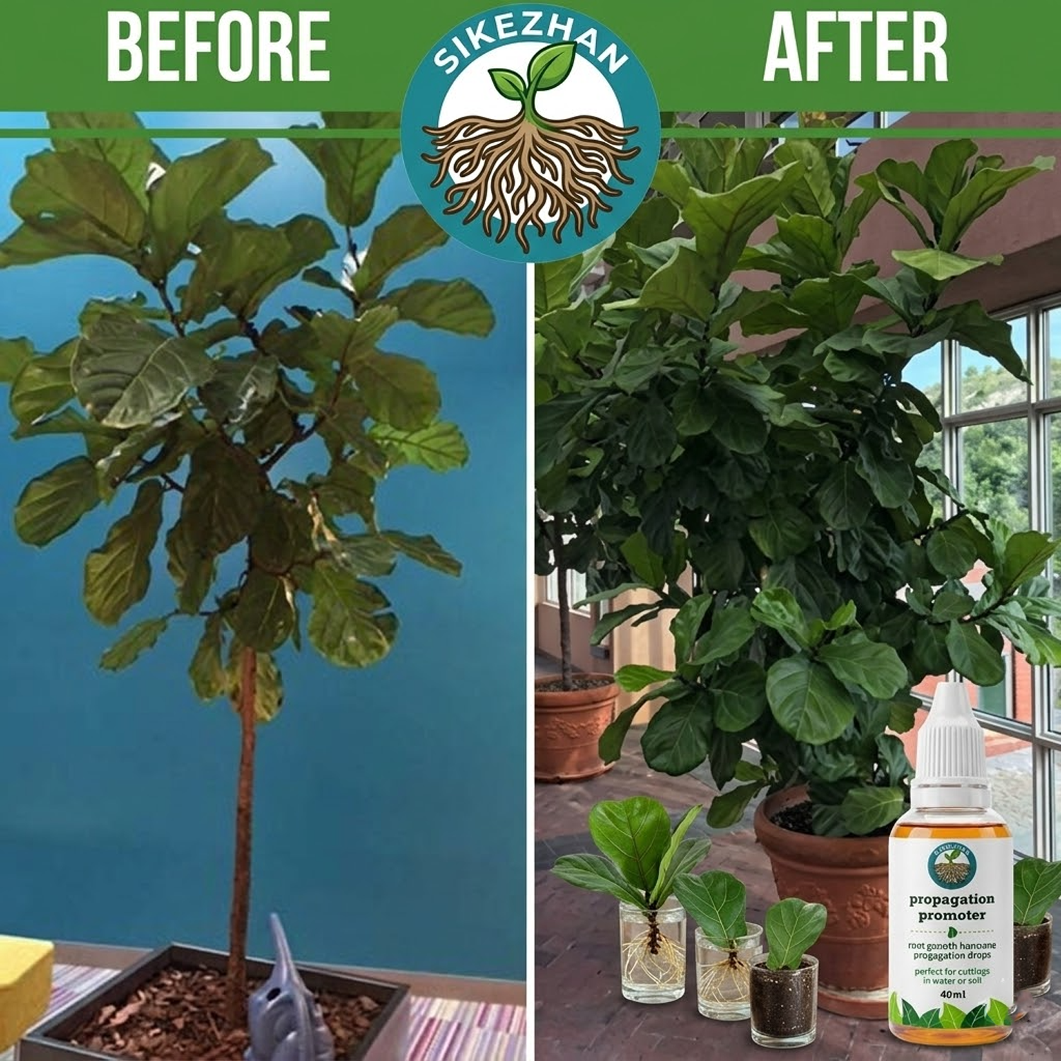 40ml Fast Plant Rooting Liquid - Root Stimulator Liquid review and price