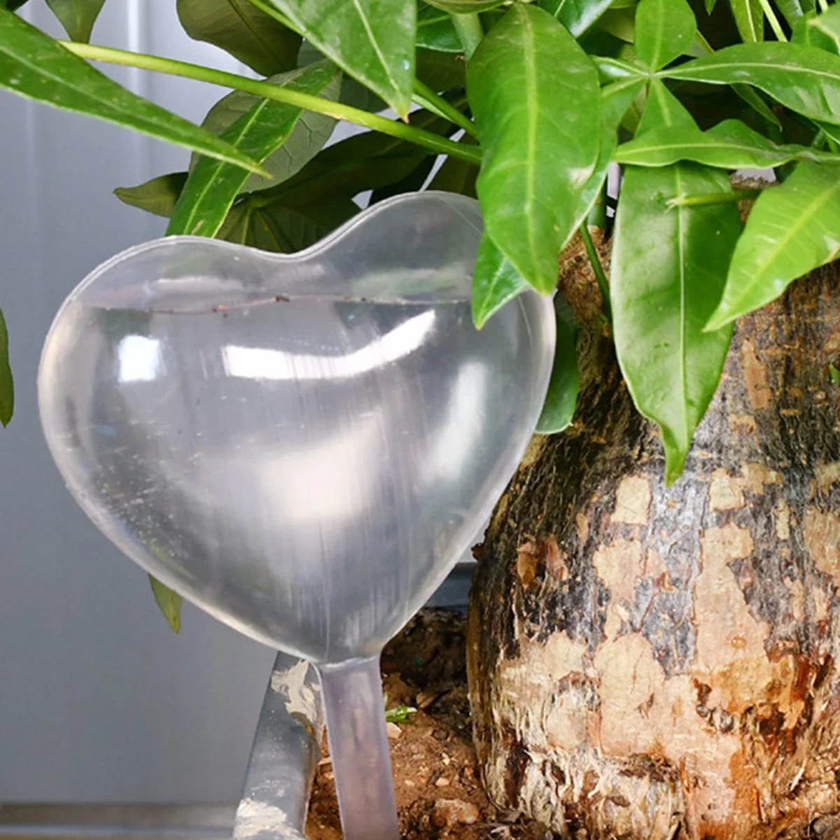 1pc Automatic Plant Watering B - Self Watering Insert review and price