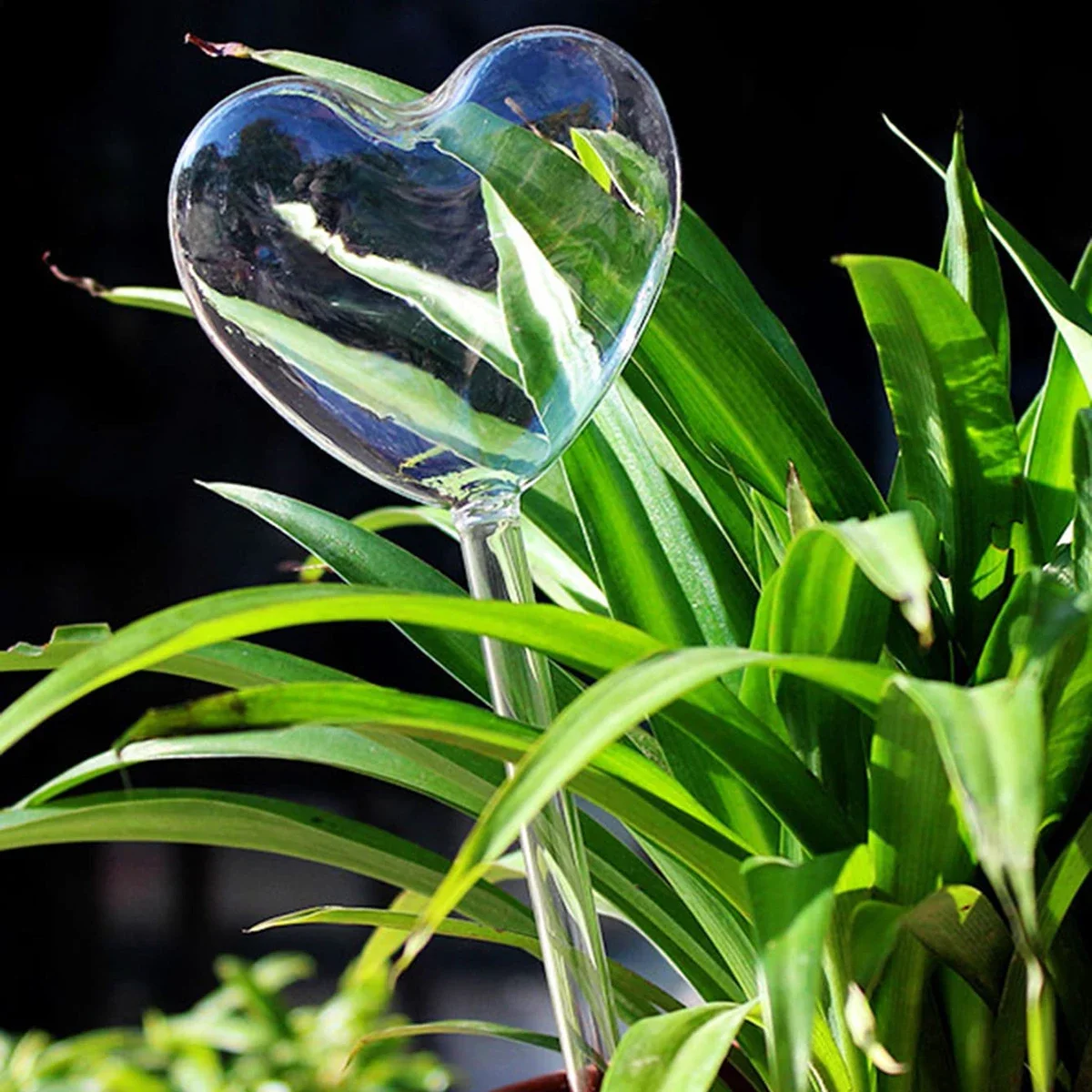 1pc Automatic Plant Watering B - Self Watering Insert review and price