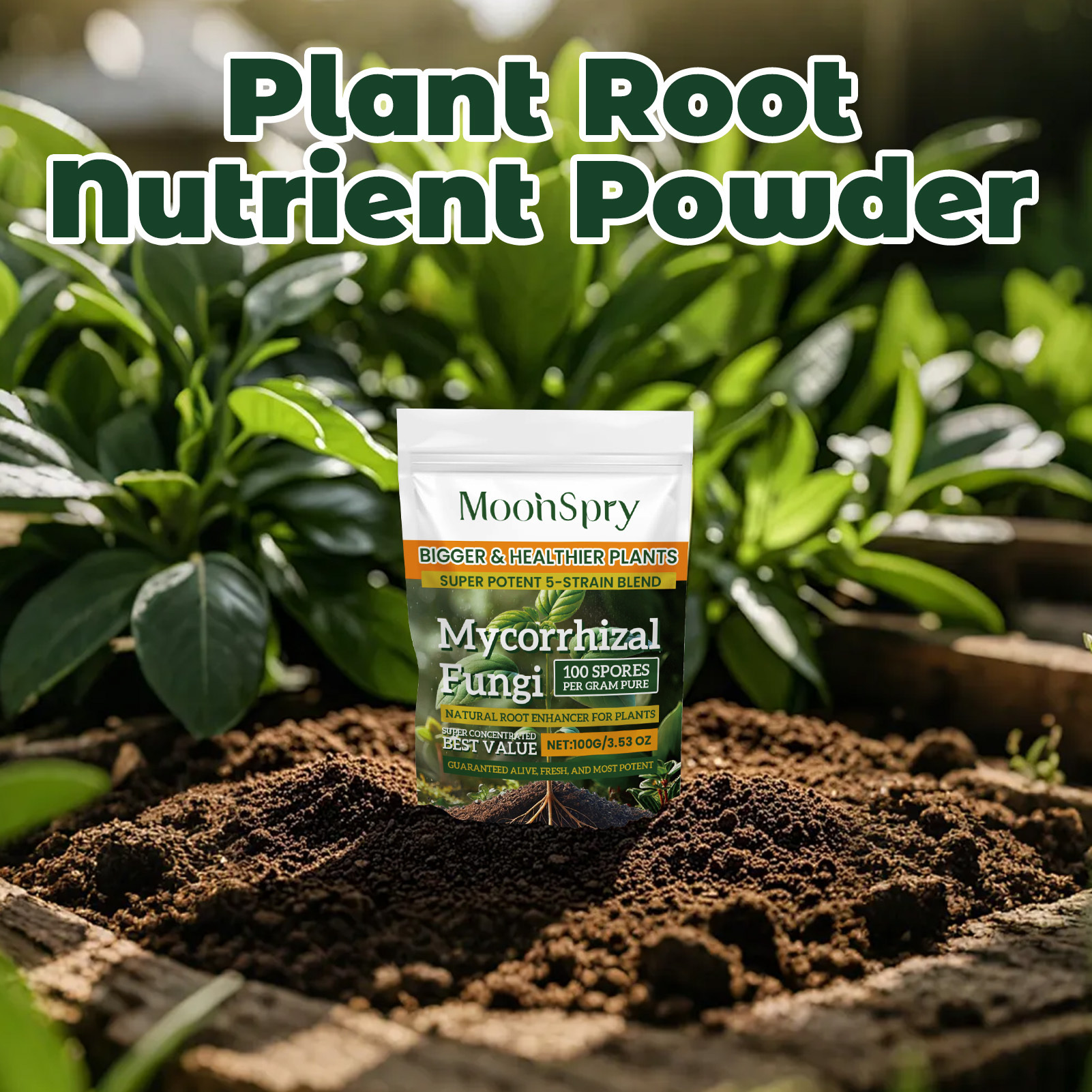 3Pack Root Stimulator Powder f - Rooting Hormone Powder review and price