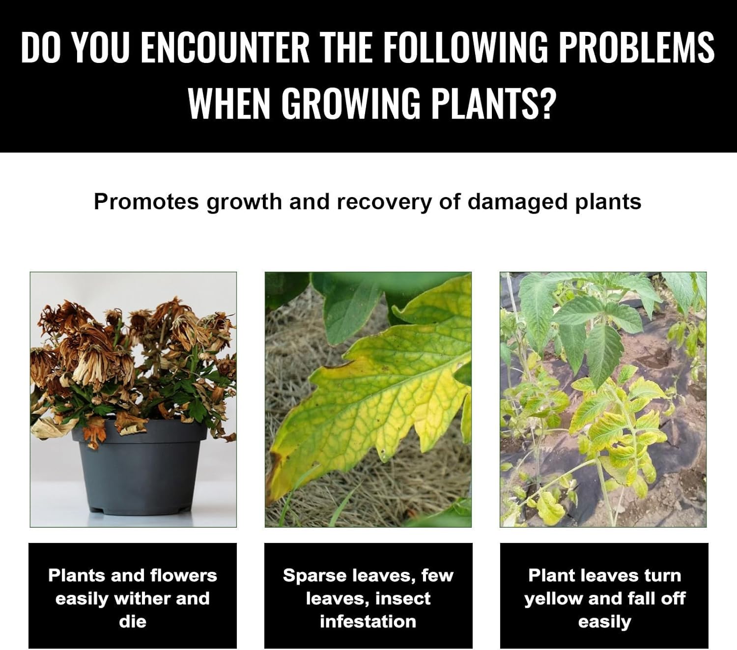 Liquid Plant Growth Enhancers  - Root Stimulator Liquid review and price