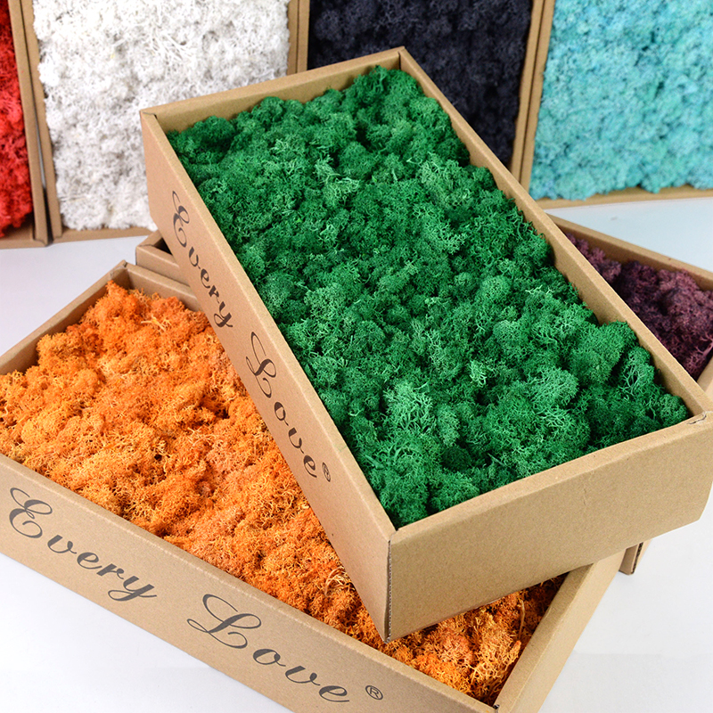 40/20g Artificial Moss Grass G - Sphagnum Moss Dry review and price
