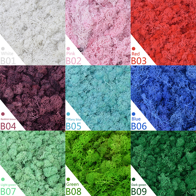 40/20g Artificial Moss Grass G - Sphagnum Moss Dry review and price