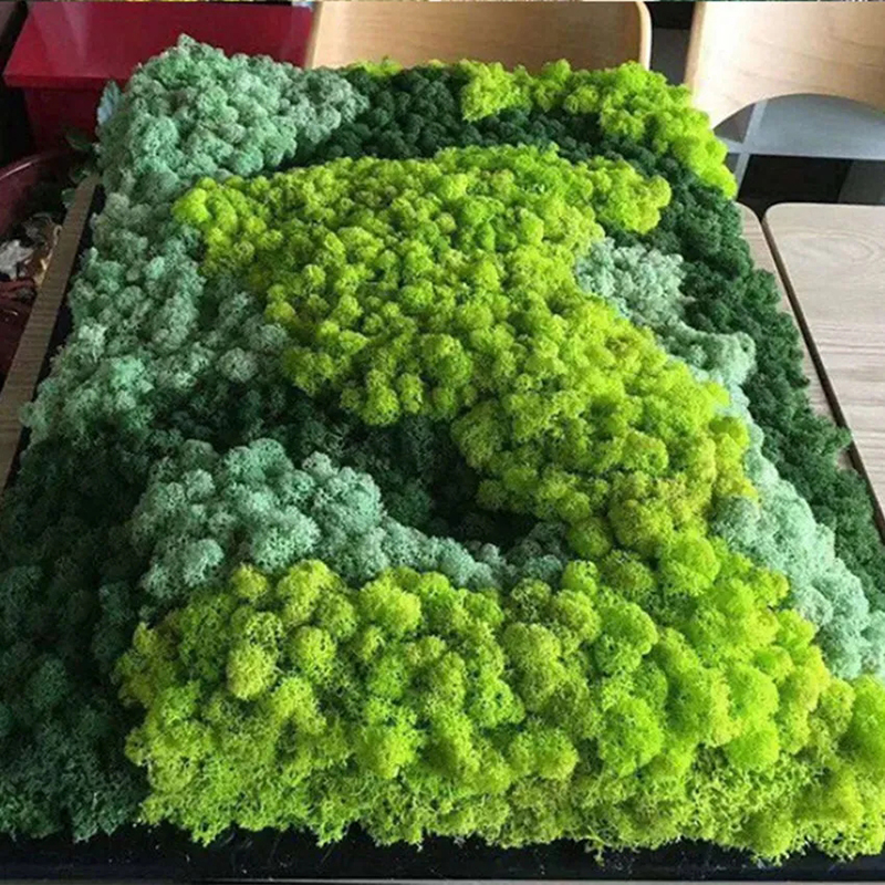 40/20g Artificial Moss Grass G - Sphagnum Moss Dry review and price