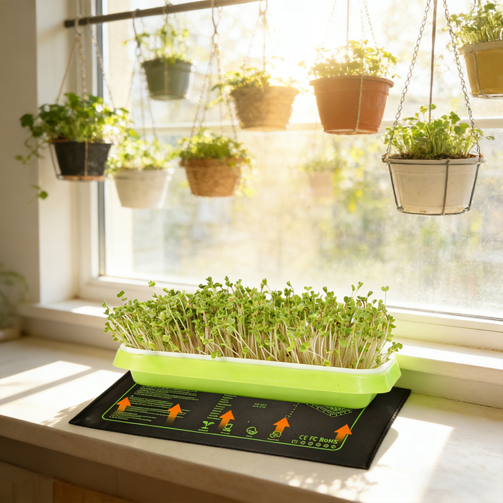 Waterproof Seedling Heat Mat 1 - Heat Mat Seedling review and price